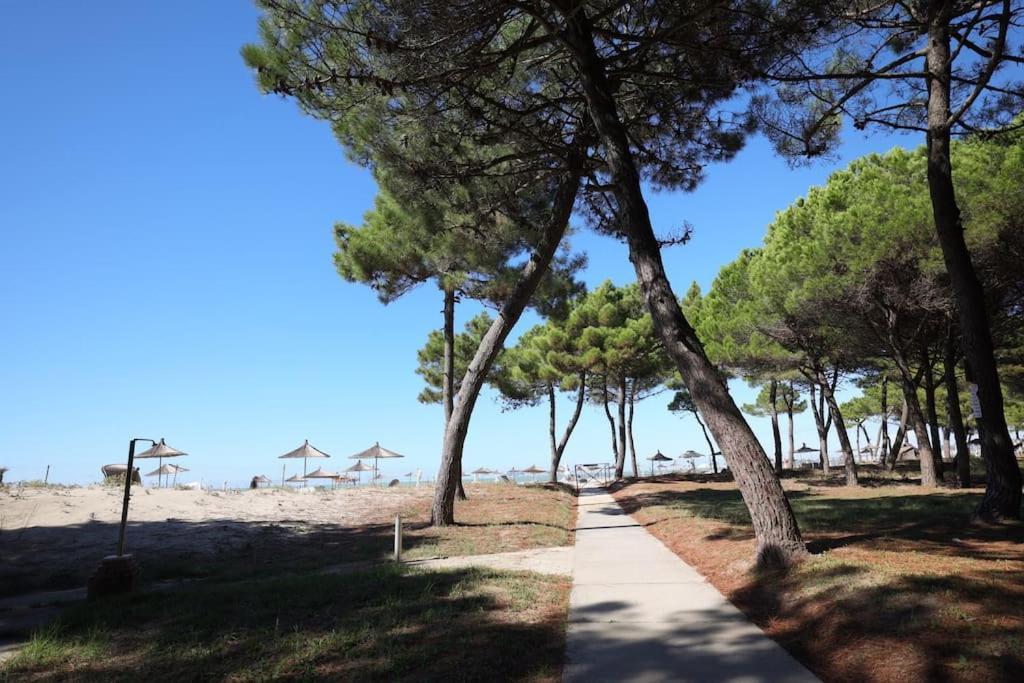 Pines Paradise At Blue Laguna * Golem (Tirana)