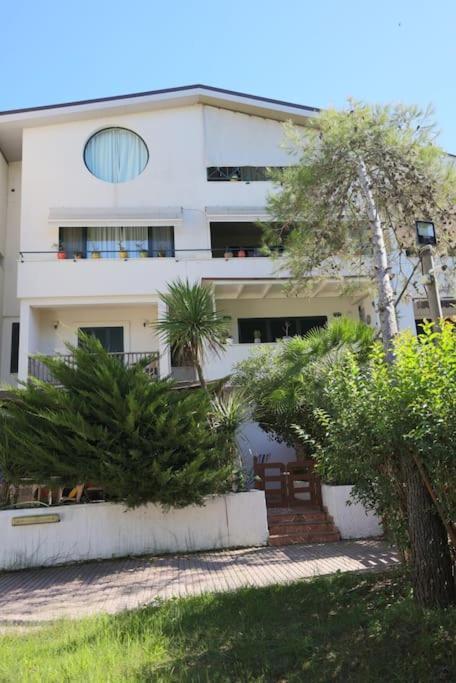 Pines Paradise At Blue Laguna Ferienhaus Golem (Tirana)