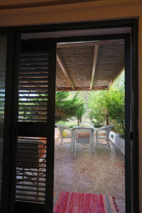 Pines Paradise At Blue Laguna Golem (Tirana)