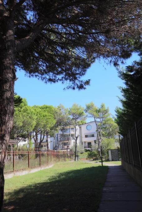 Pines Paradise At Blue Laguna